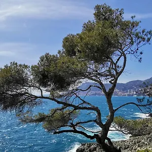 Incantevole Indipendente A Due Passi Mare Casa vacanze